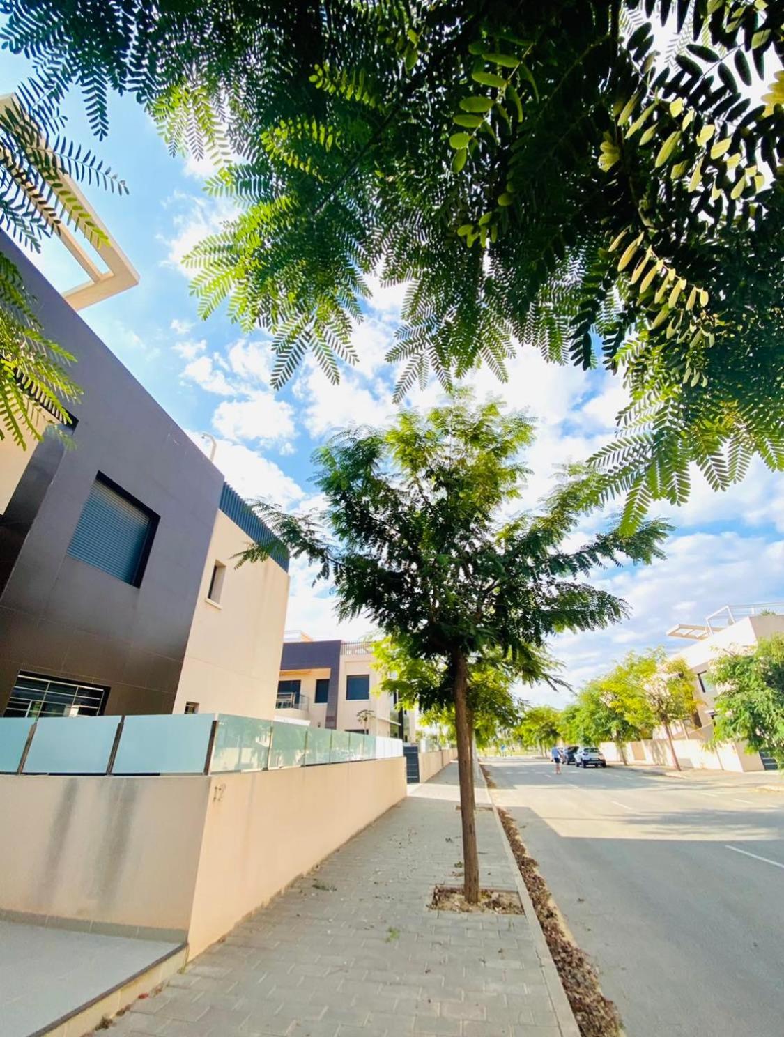 Appartement Mil Palmeras Torre de la Horadada 外观 照片